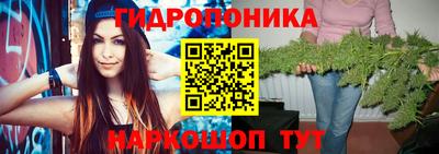 мдпв Бердск
