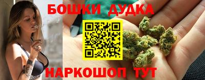 мдпв Бердск