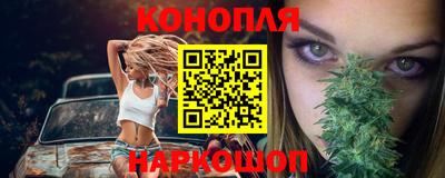 мдпв Бердск